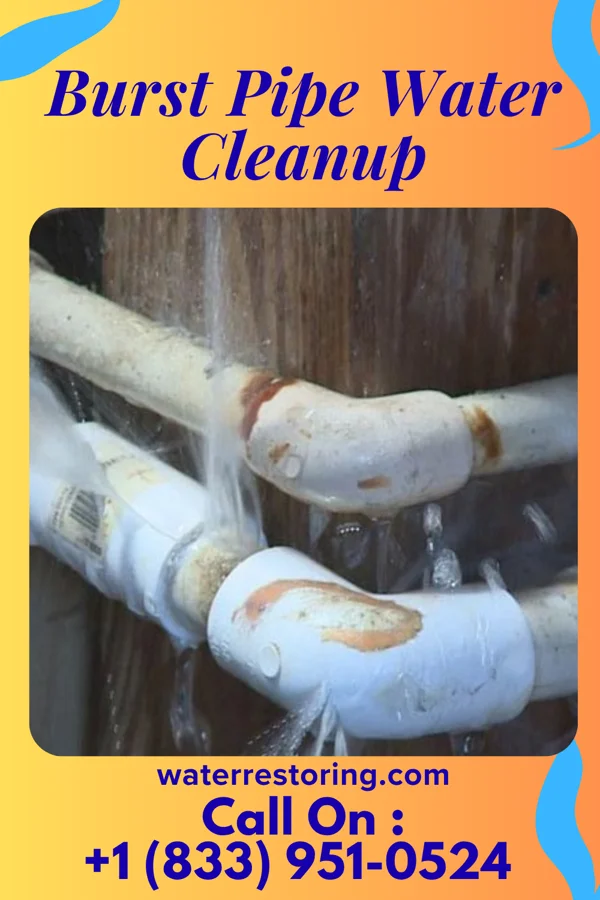 Burst Pipe Water Cleanup in Nesquehoning, PA