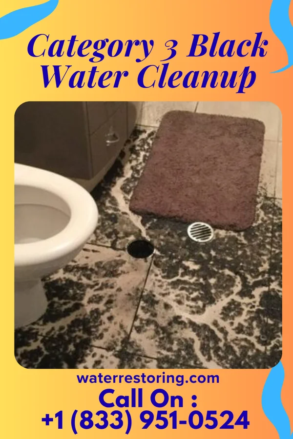Category 3 Black Water Cleanup in Nesquehoning, PA