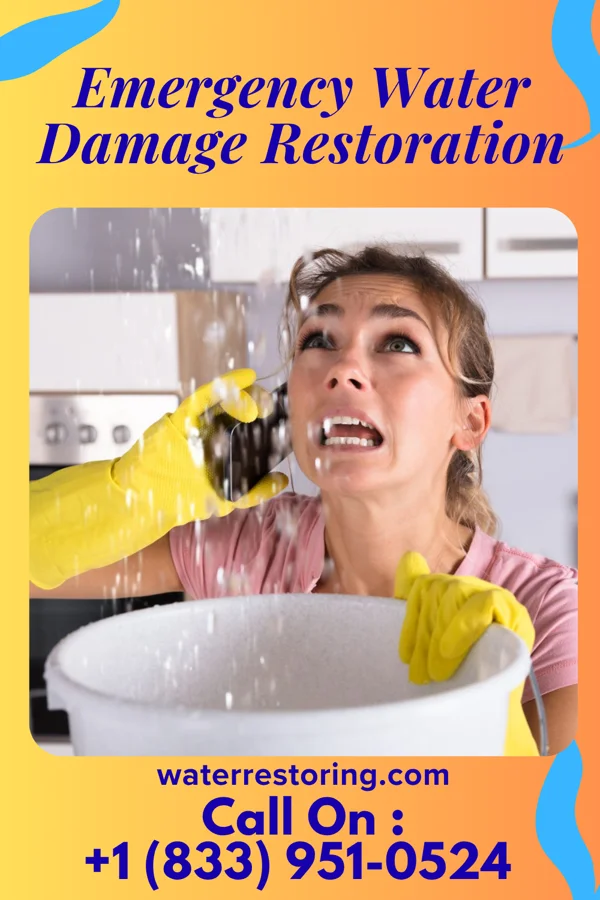 Emergency Water Damage Restoration in Nesquehoning, PA