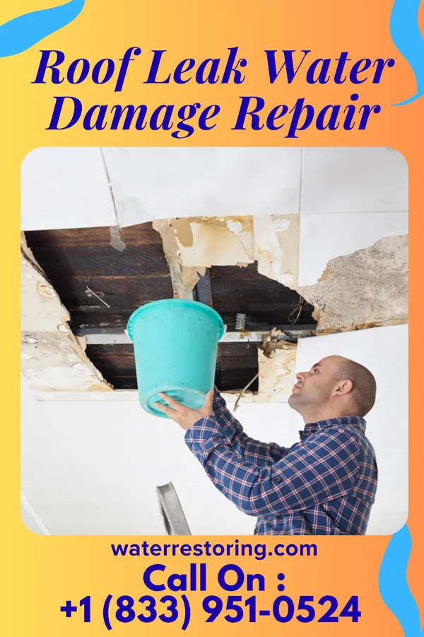 Roof Leak Water Damage Repair in Nesquehoning, PA